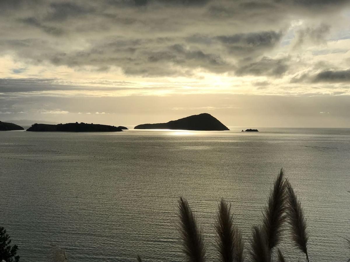 Island View Experience Villa Coromandel Eksteriør billede